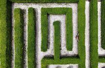 Buggy Ride, Zipline Mega Splash and Waterfall Pool + Lunch Combo