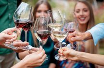 Niagara Wine Tour and Tastings with Transportation 