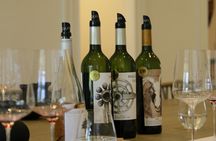 Valley of Colchagua Montes Vineyard and Maquis Vineyard