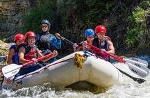 Browns Canyon 1/2 Day Rafting Trip - Buena Vista