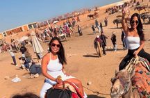 All in one Giza Pyramids, Great Sphinx and Grand Egyptian Museum