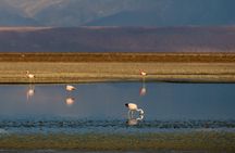 Tour Rojas and Highland Lagoons