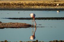 Tour Rojas and Highland Lagoons