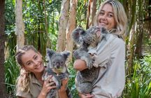 Breakfast with Koalas Experience on Magnetic Island