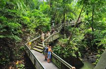 All Inclusive Ubud Tour Sacred Monkey Forest and Rice Terraces