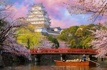 Himeji Castle and Koko-en Garden Private Day Trip from Kyoto