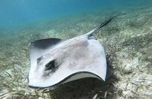 Second largest Barrier Reef Adventure