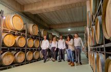 Alicante Winery guided tour with 6 tastings and a gift