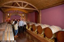 Alicante Winery guided tour with 6 tastings and a gift