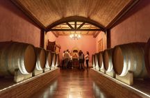 Alicante Winery guided tour with 6 tastings and a gift