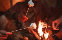 Aurora Hunt with Campfire Thermal Suits and Marshmallows