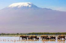 3 Days Elephant Focused Game Drive in Amboseli National Park