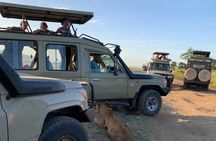 1 Day Tsavo East and West Extreme Wildlife Safari Adventure