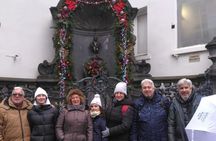 Daily tour of Brussels Lower Town and Upper Town