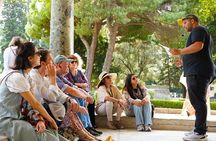 Topkapi Palace with Harem Small Group Guided Tour Historian Guide