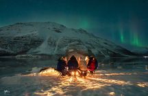 Tromsø: Northern Lights by Minibus - Free Photos and Warm Dinner