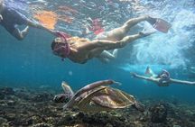 Private Snorkeling in Nusa Lembongan and Nusa Penida
