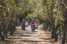 Fiesole and Florence Hills by Vespa with Olive Oil Tasting