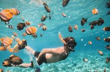 Snorkeling at Blue Lagoon Bali with Waterfall, Swing, Atv