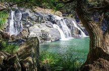 Private 4WD Rainforest Adventure in Booloumba Falls / Creek