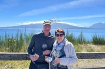 Shore excursion Frutillar Petrohue and Puerto Varas 