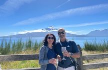 Shore excursion Frutillar Petrohue and Puerto Varas 