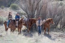 Wild Horseback Excursion in Little Bookcliff