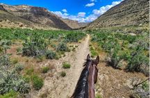Wild Horseback Excursion in Little Bookcliff