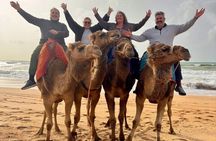 Tangier Tour with Jasmine: Private Experience & Camel Ride