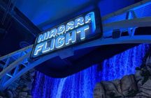 Niagara Takes Flight with Walking Tour