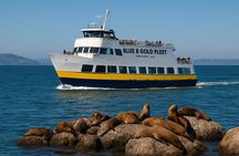 San Francisco Bay Cruise Scenic Tour