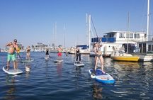 Marina Discovery Paddle: Learn SUP & Explore Wildlife