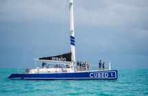 Key West Culinary and Catamaran Reef Tour Experience