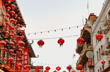 1 day Hop-on Hop-off in San Francisco 20 stops 8 hours