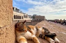 Essaouira Day Trip From Marrakech Medina Port and Ocean Views