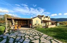 5 Wines with liqueurs and Food Tasting in Konavle 