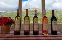 Konavle Valley Wine Tasting from Dubrovnik with Light Lunch