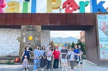 Nami Island One Day Trip with Gangchon Rail Bike from Seoul