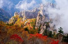 Mount Seorak and Nami Island One Day Tour from Seoul