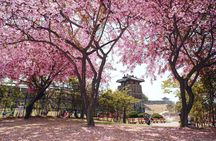 Korean Folk Village and Suwon Hwaseong Fortress Day Tour(EG Tour)