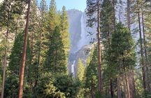 San Francisco to Kings Canyon and Yosemite 2 Day Tour