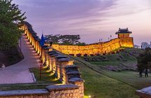 Flexible Seoul Surroundings Private Tour(DMZ, Nami Island, Suwon)