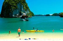 Tulip Cruise 2 Days 1 Night Ha Long and Lan Ha Bay Tour