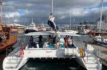 Full Day Private Cape Town and Peninsula Tour