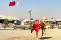 Doha Dune Bashing Desert Safari