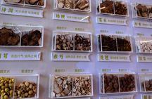 Shanghai：Chinese Wellness Day with Taichi, Pulse Reading and TCM