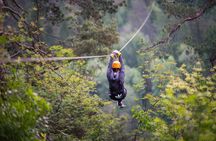 Lake Bled 7-Line Alpine Zipline Adventure