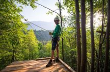 Lake Bled 7-Line Alpine Zipline Adventure