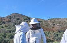 Heart of Crete: Honey farm , Ida Cave, Mount Art, Music & food