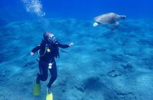 Rethymno Crete Plakias Scuba Diving Experience